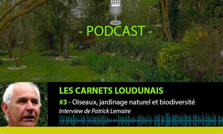 Les podcasts des Carnets loudunais pour Melusina Découvertes